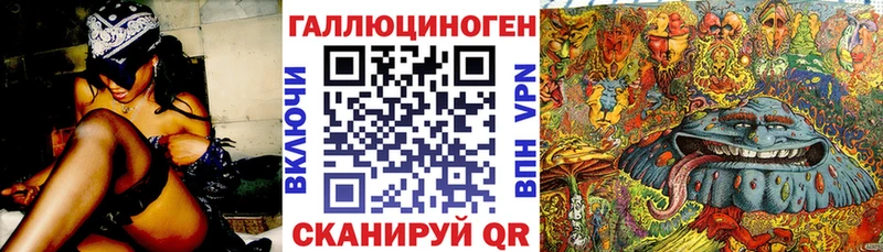 Купить  Яхрома  Псилоцибиновые грибы Psilocybe 